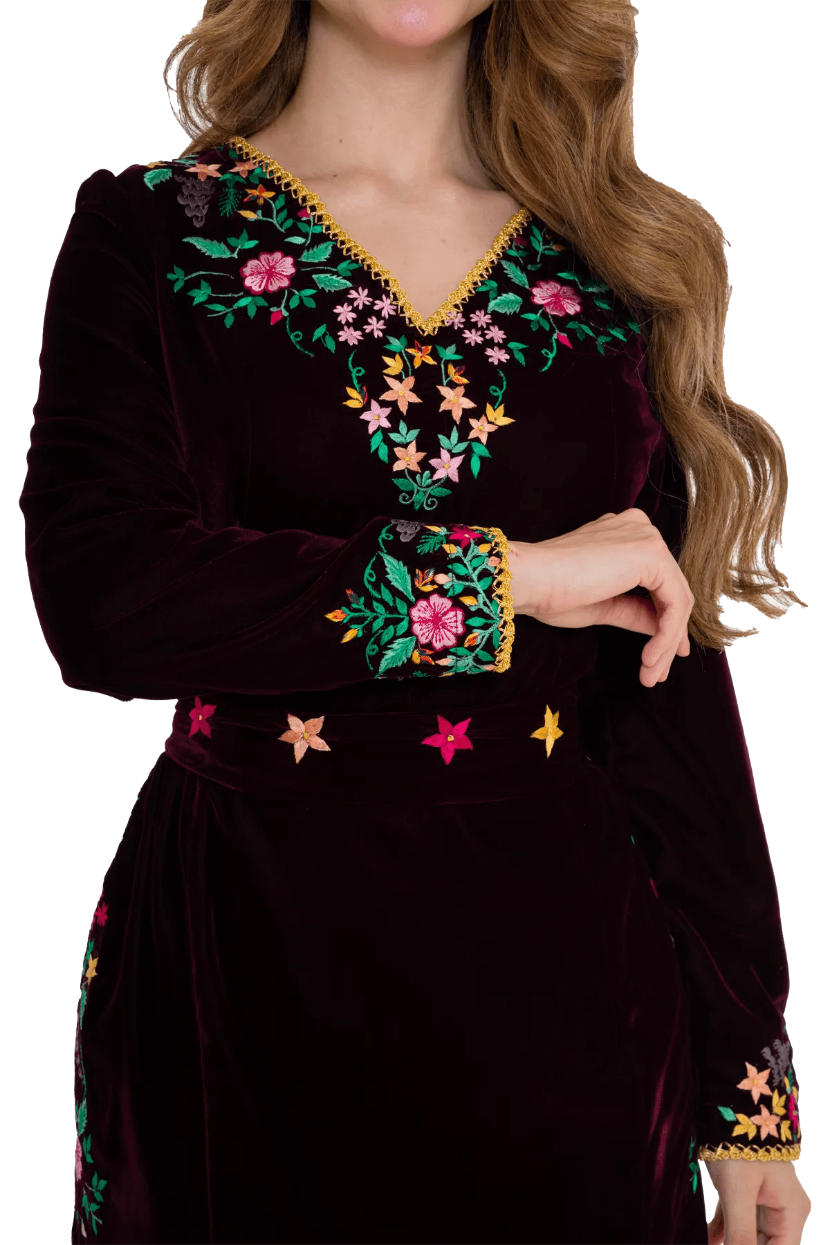 roses velvet dress