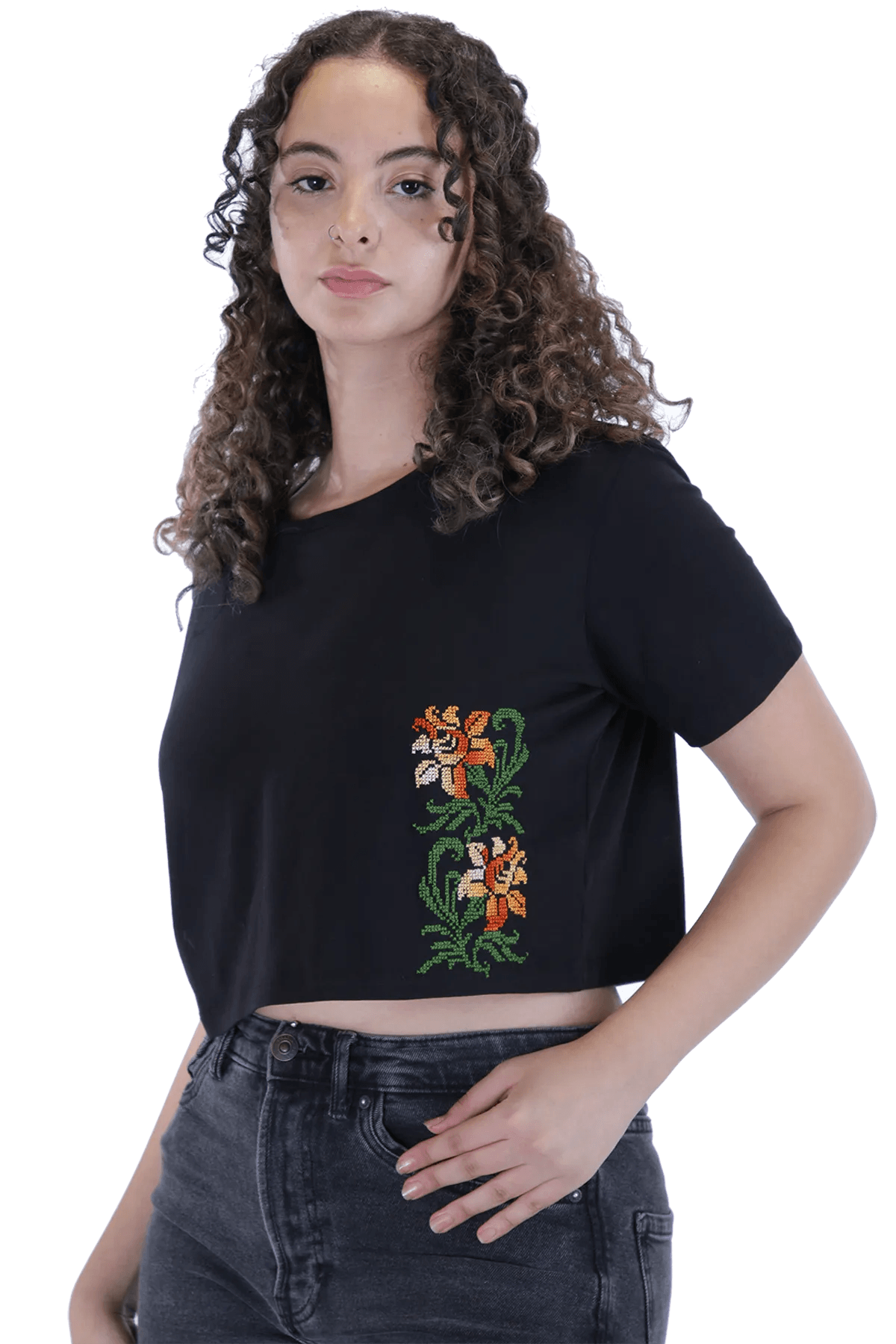 Black embroidered crop top (X-Large)