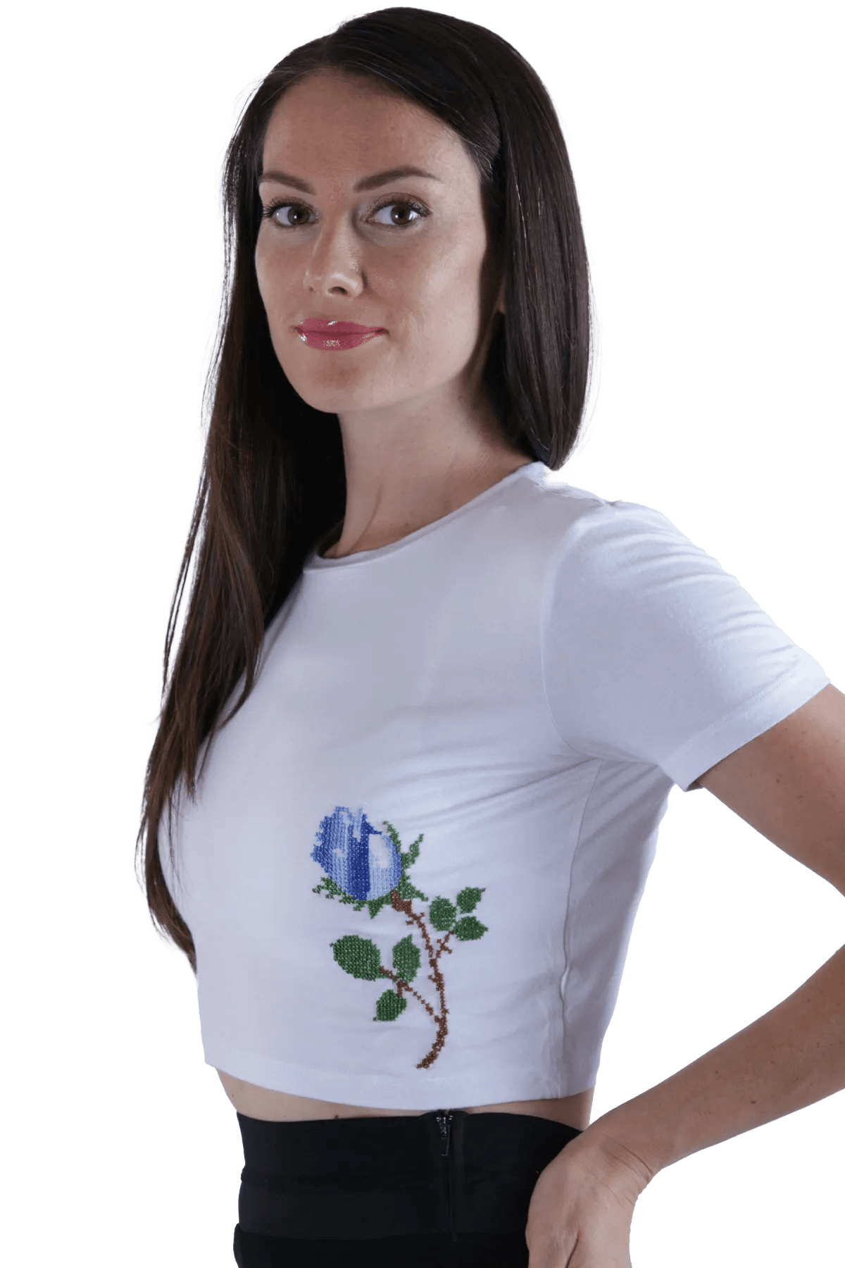 white embroidered crop top (Small)