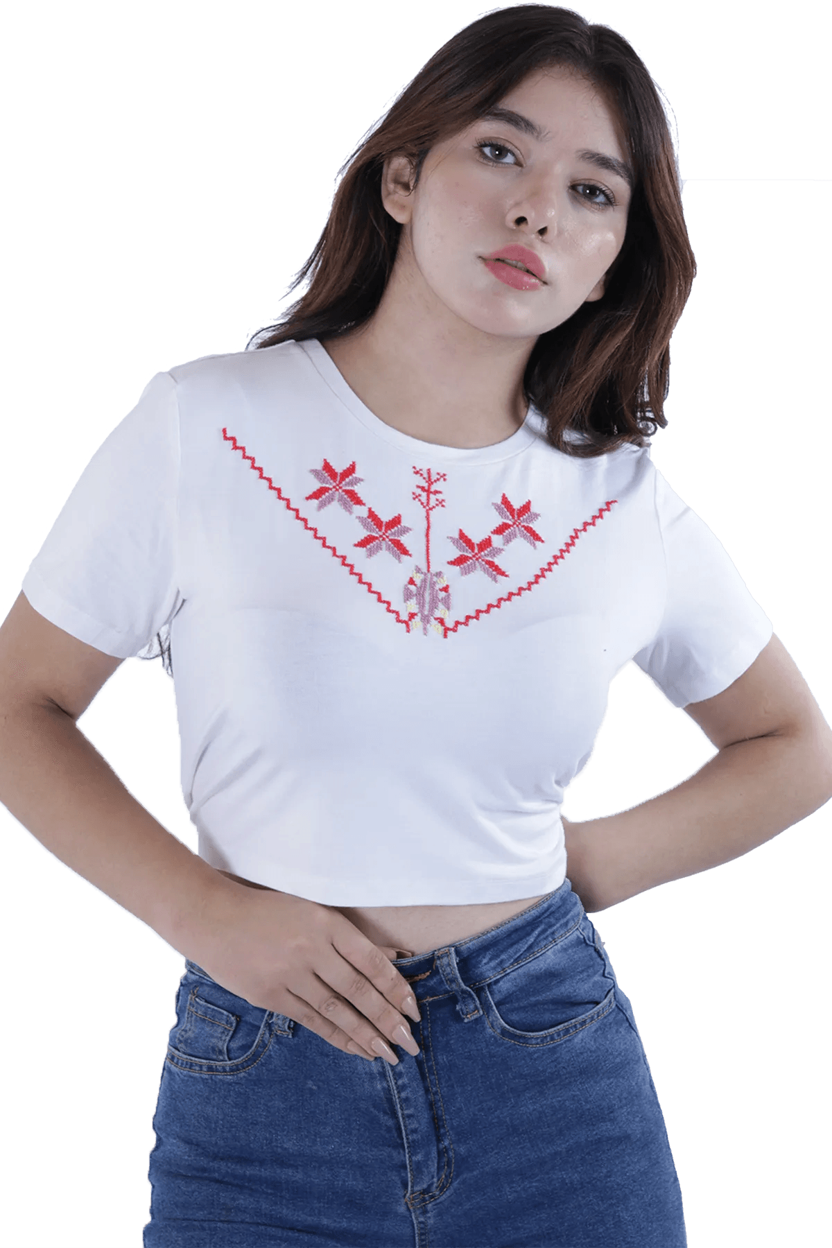 white embroidered crop top (Large)