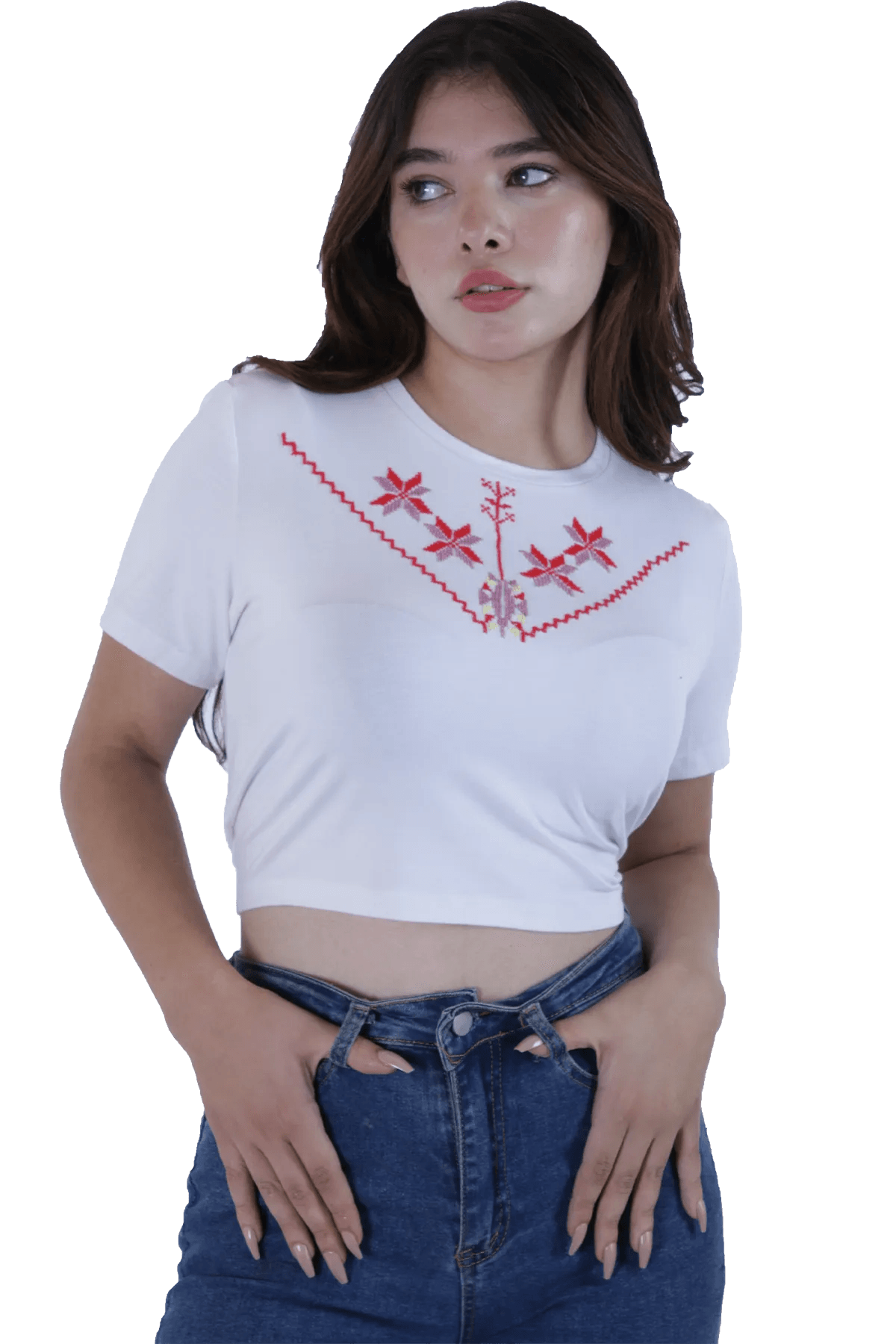 white embroidered crop top (Large)
