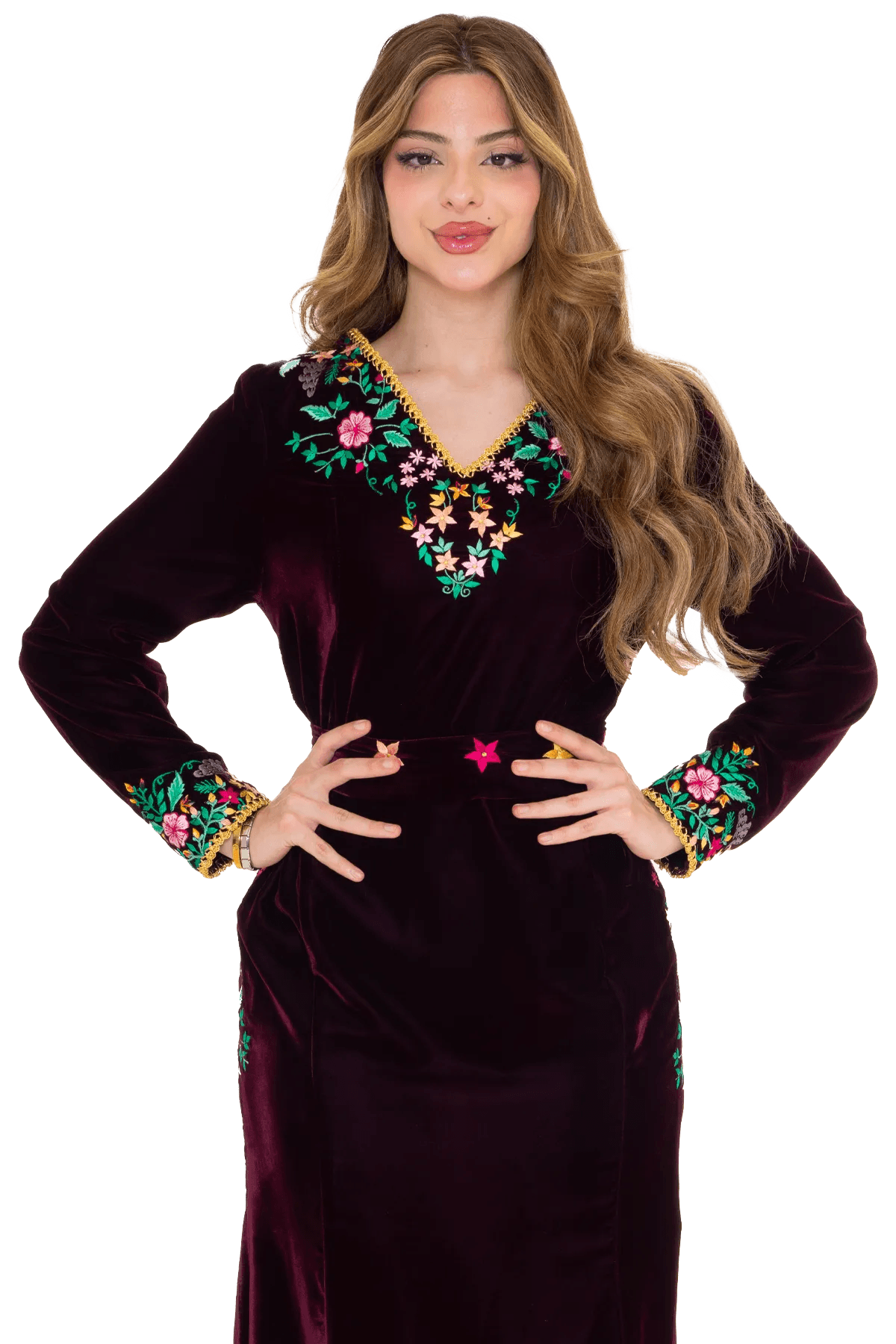 roses velvet dress