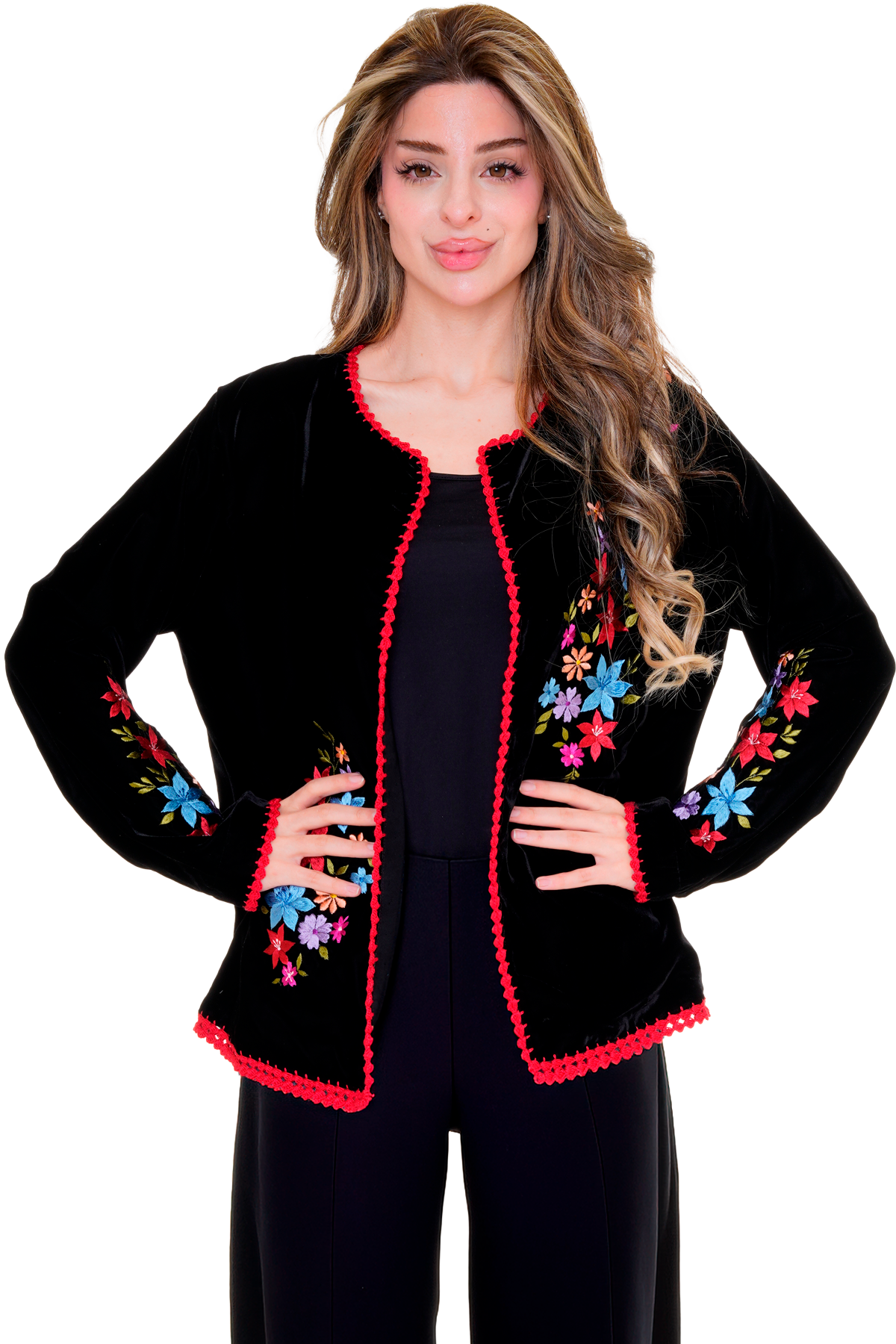 Velvet Tara Blazer