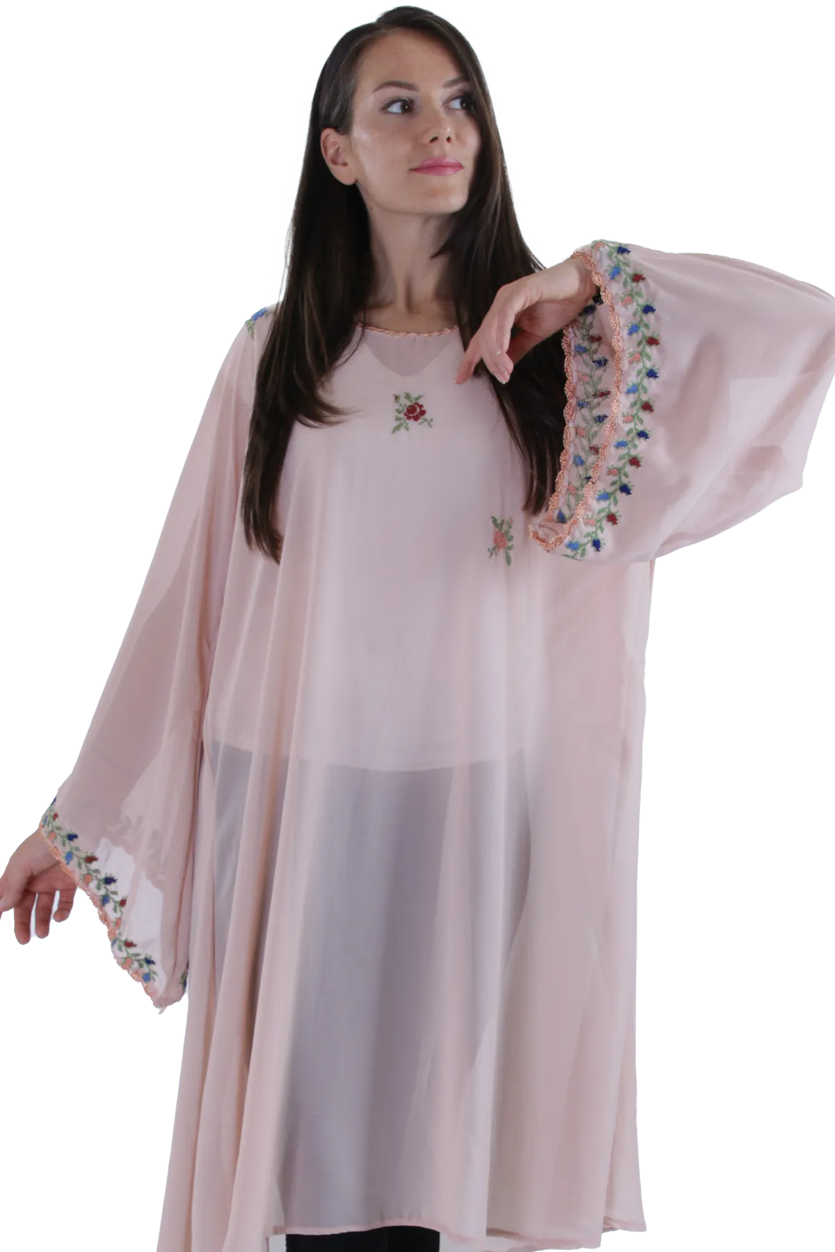 Hand-embroidered chiffon