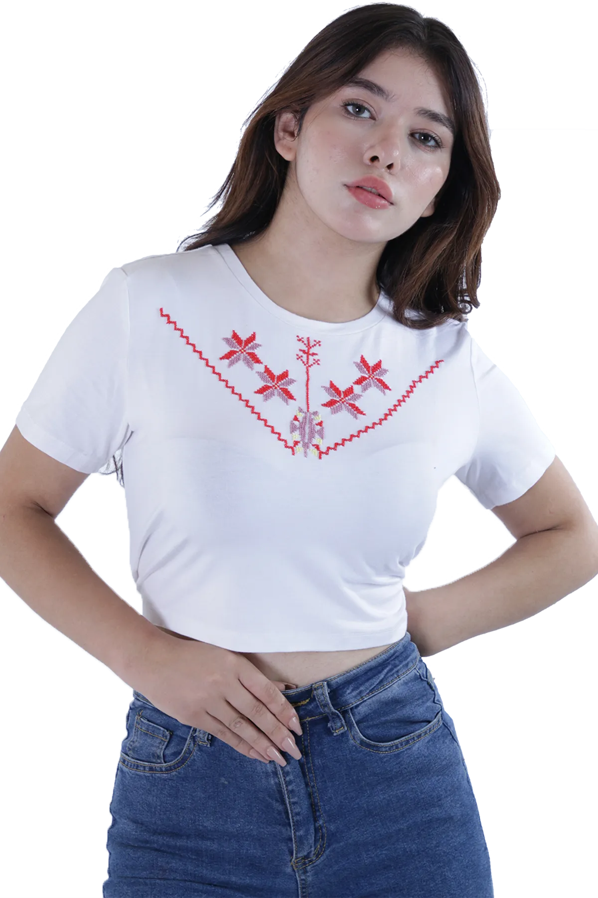 white embroidered crop top (Large)